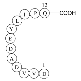 Epidermal Growth Factor Receptor Peptide(985-996)图片