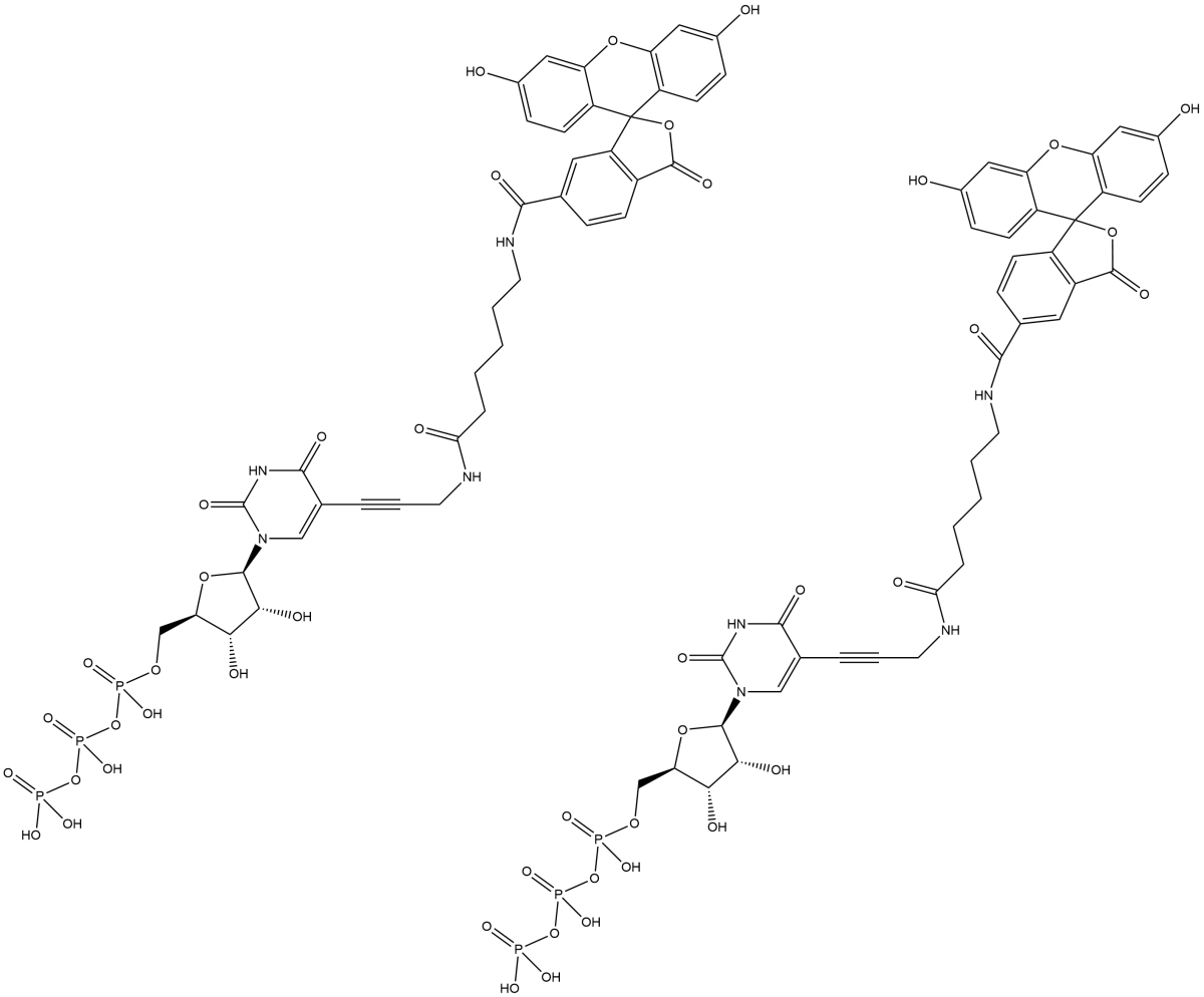 Fluorescein-12-UTP图片