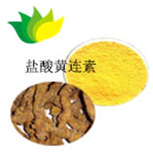 盐酸黄连素图片