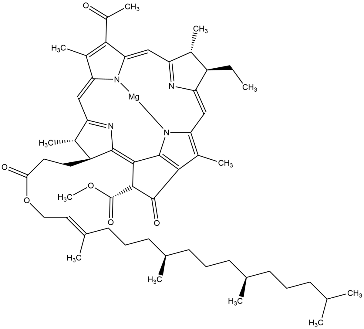 Bacteriochlorophyll from Rhodopseudomonas sphaeroides图片