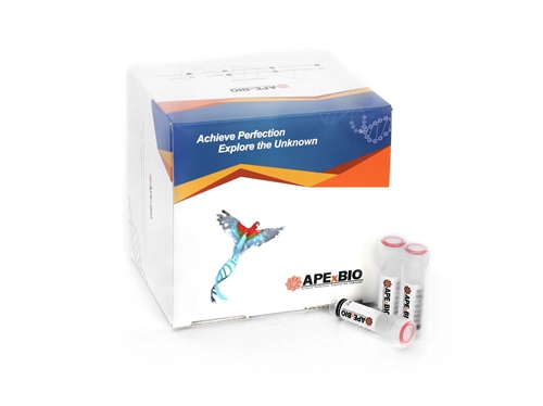 EdU Imaging Kits(488)图片