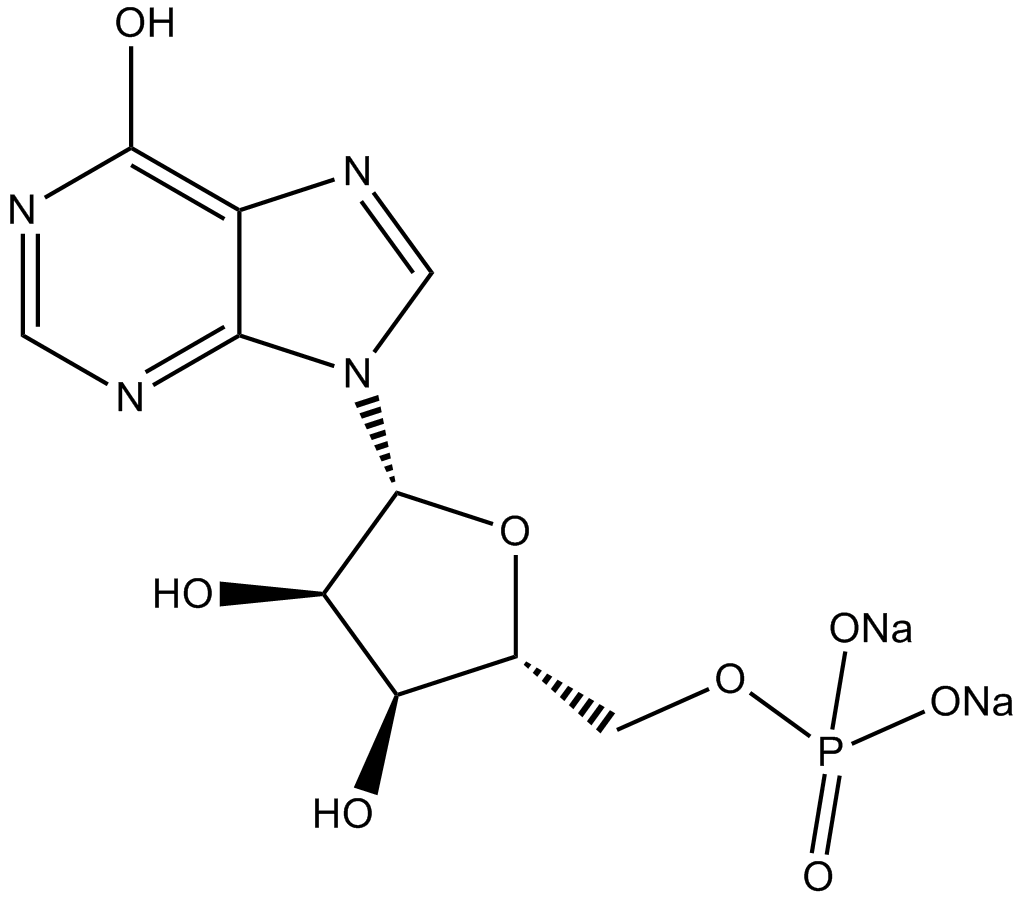 Disodium 5'-inosinate图片