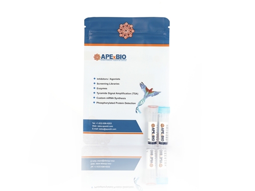 EZ Cap(TM)EPO mRNA(ψUTP)图片