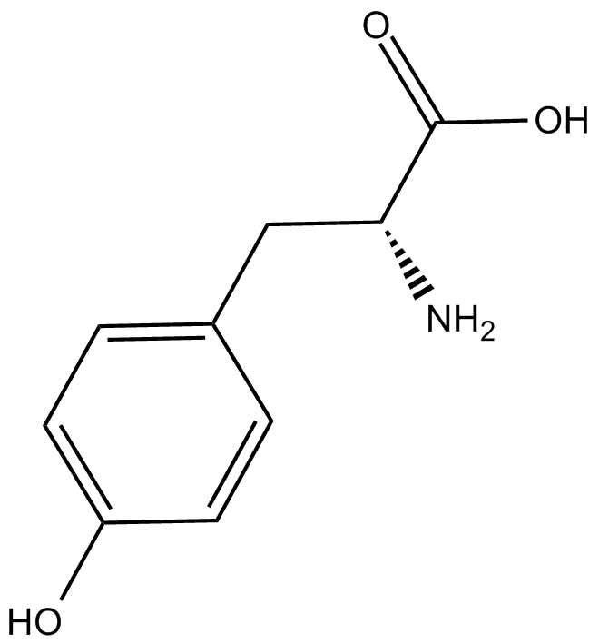 D-Tyrosine图片