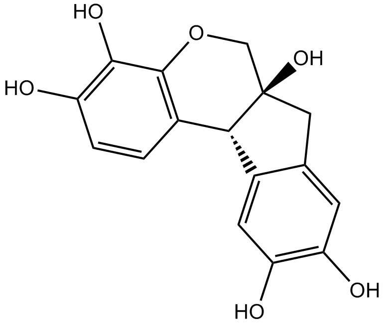 Hematoxylin图片