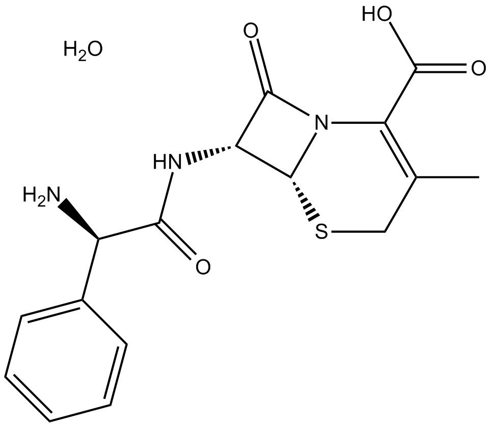 Cephalexin monohydrate图片
