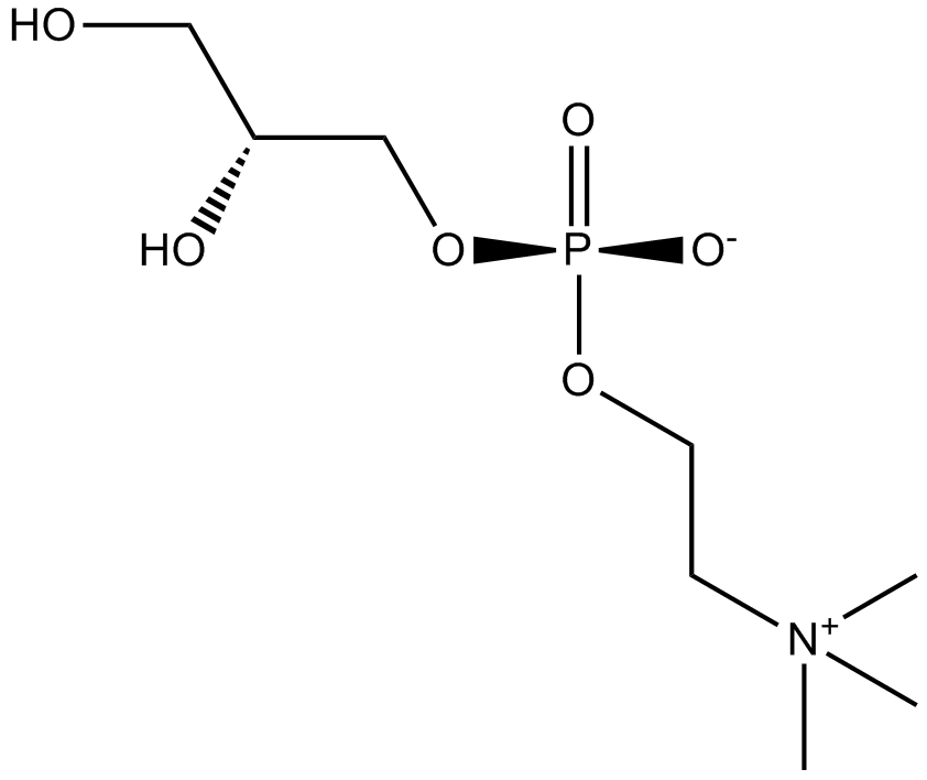 sn-Glycero-3-phosphocholine图片