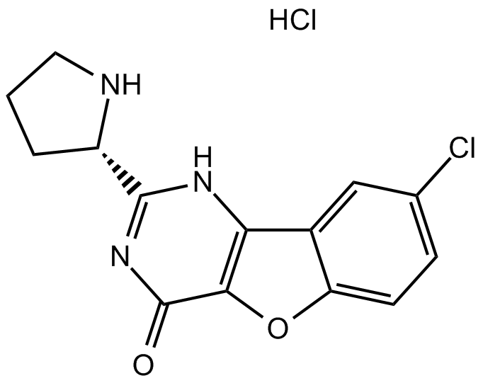 XL413 hydrochloride图片