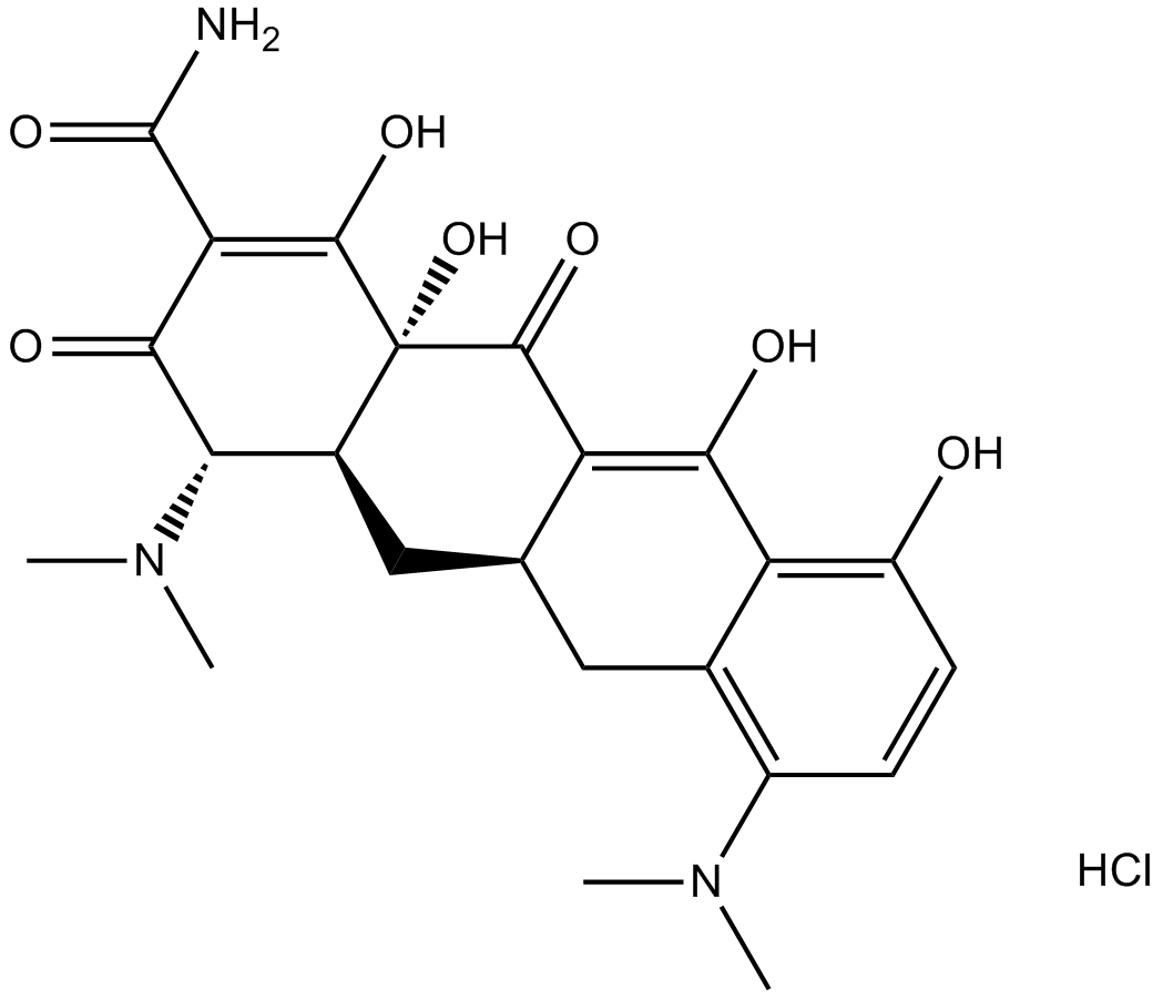 Minocycline HCl图片