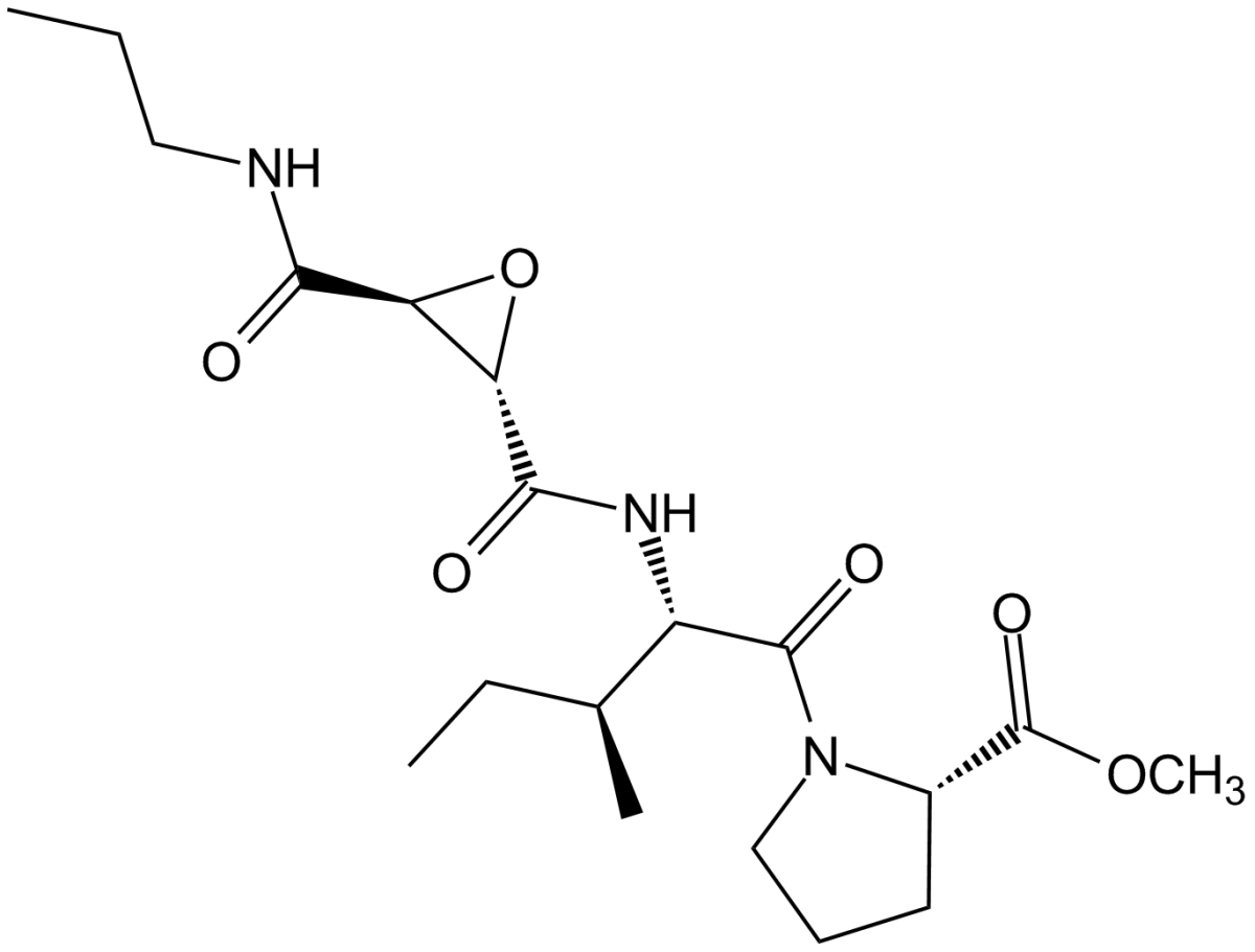 CA-074 Me图片