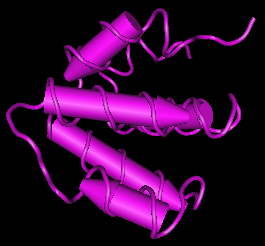 Caspase-4,human recombinant protein图片