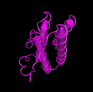 Leptin Receptor,human recombinant protein图片