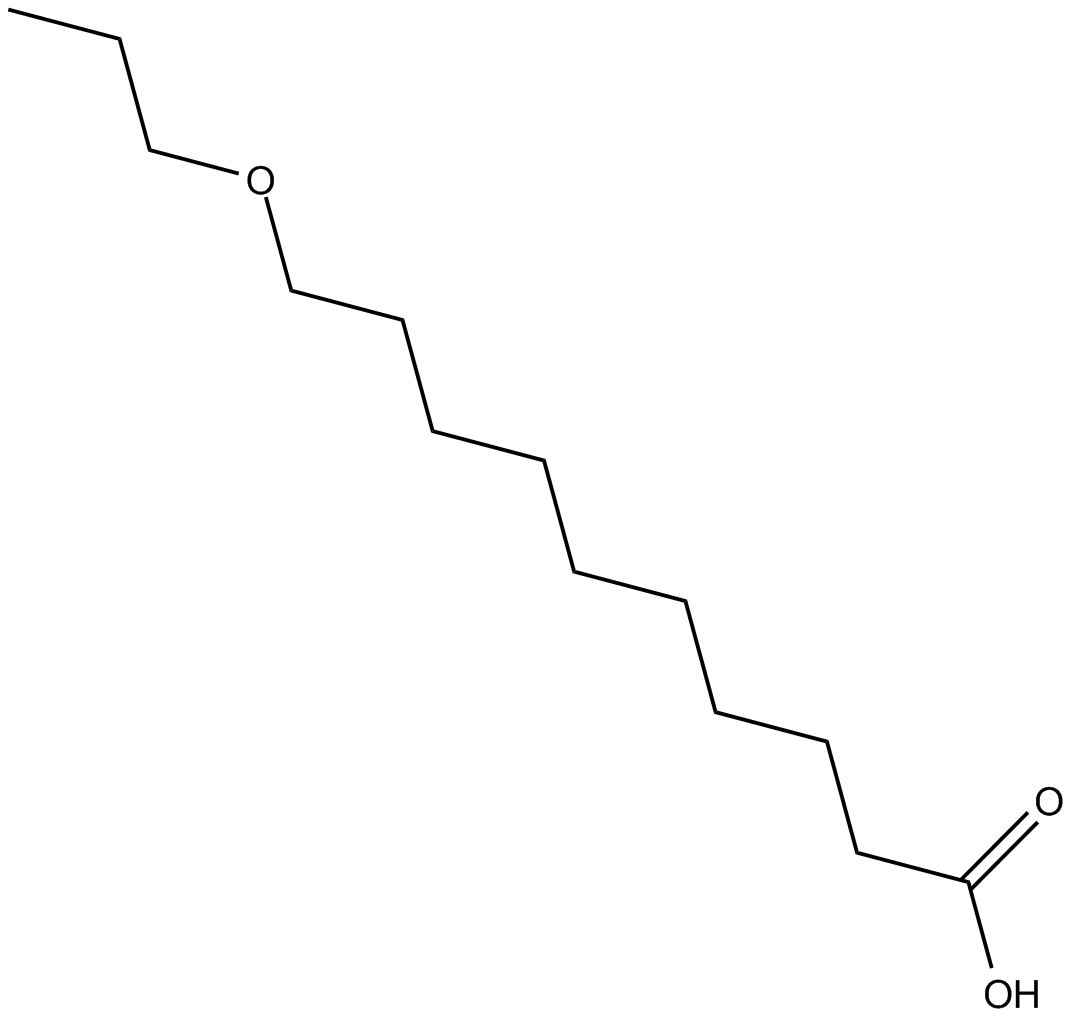 O-11图片