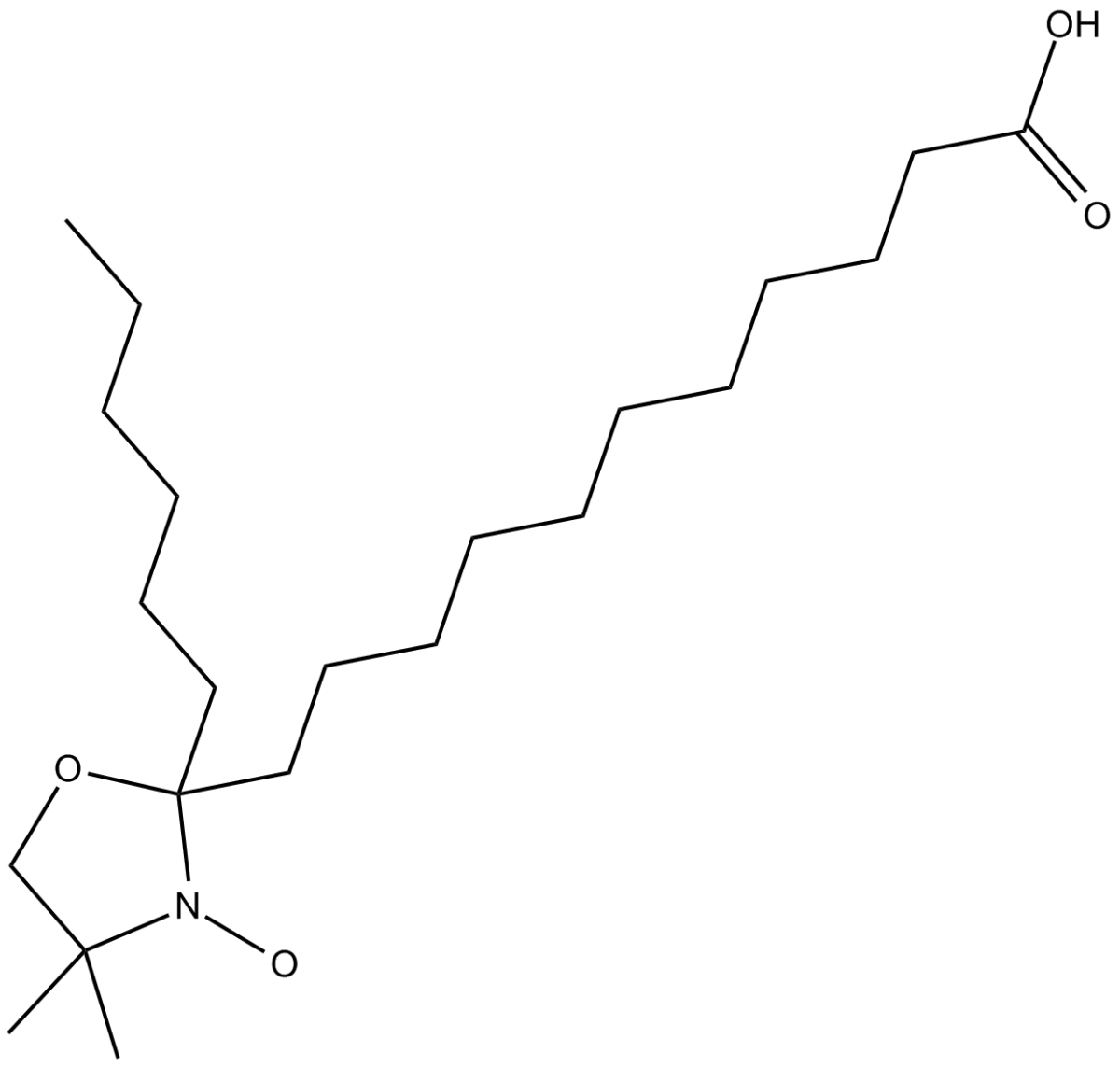 12-Doxylstearic Acid图片