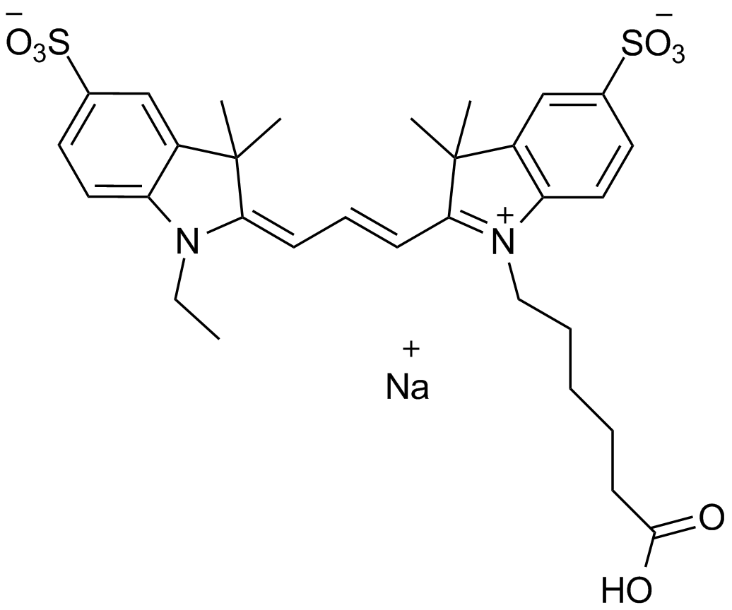 Cy3 carboxylic acid(Et)图片