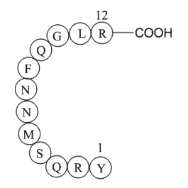 Adrenomedullin(1-12),human图片
