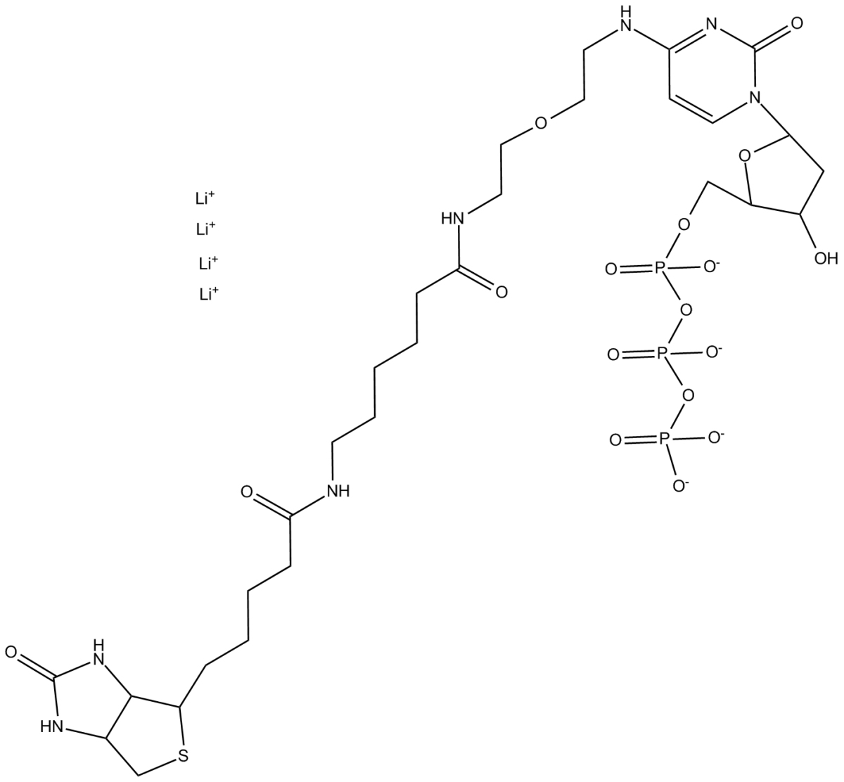 N4-Biotin-OBEA-dCTP图片
