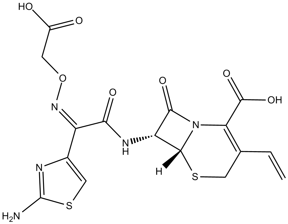 Cefixime图片