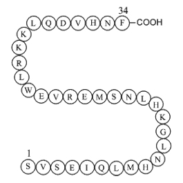 Parathyroid hormone(1-34)(human)图片