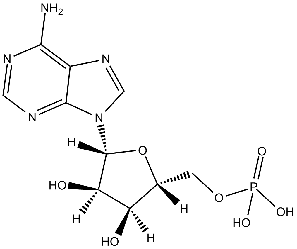Adenosine 5-monophosphate图片
