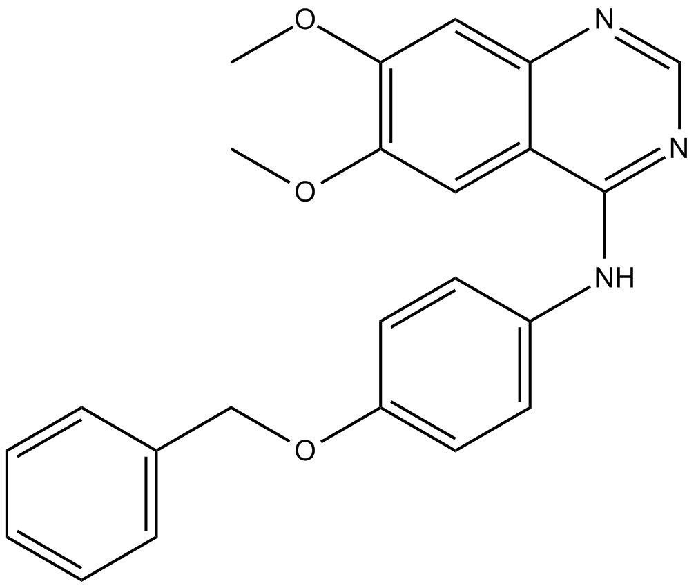 EGFR/ErbB2 Inhibitor图片