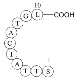 ubiquitin specific protease 3 fragment图片