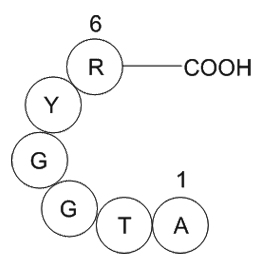 prostate apoptosis response protein PAR-4(2-7)[Homo sapiens]图片