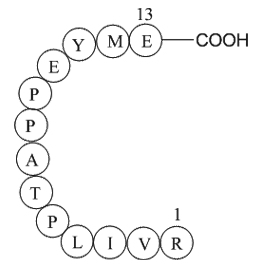 matrix protein(3-15)[Zaire ebolavirus]图片