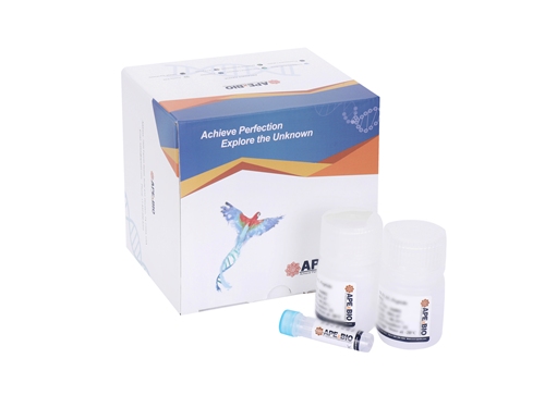 One-step TUNEL Cy5 Apoptosis Detection Kit图片