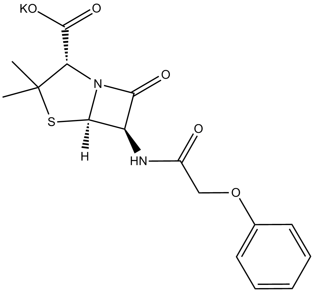 Penicillin V potassium salt图片