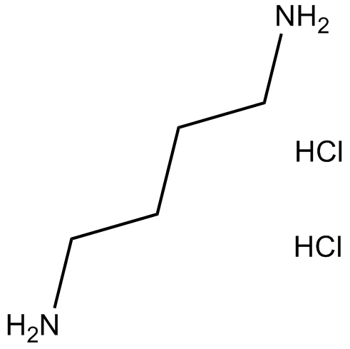 1,4-Diaminobutane dihydrochloride图片