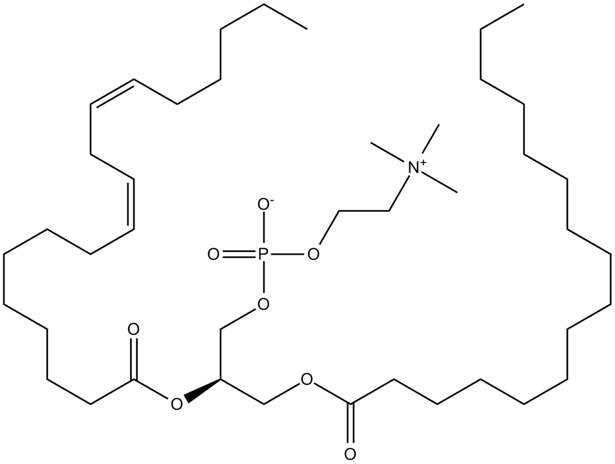 L-α-Phosphatidylcholine图片