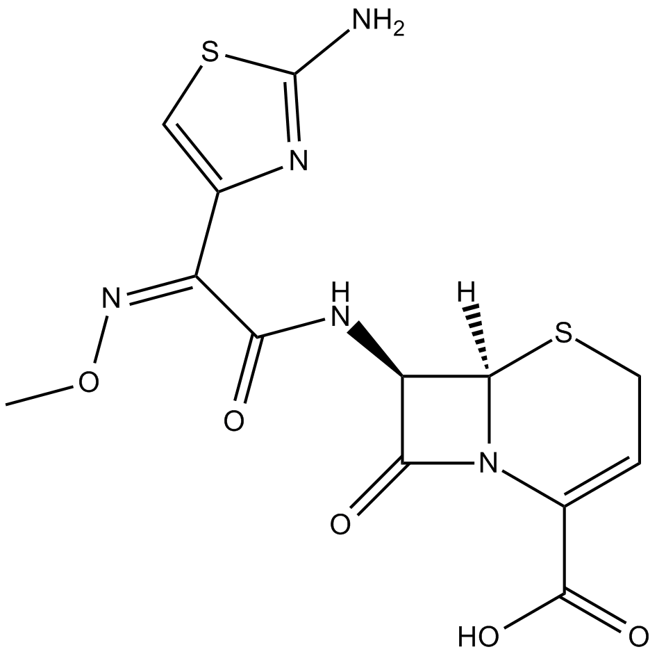 Ceftizoxime图片