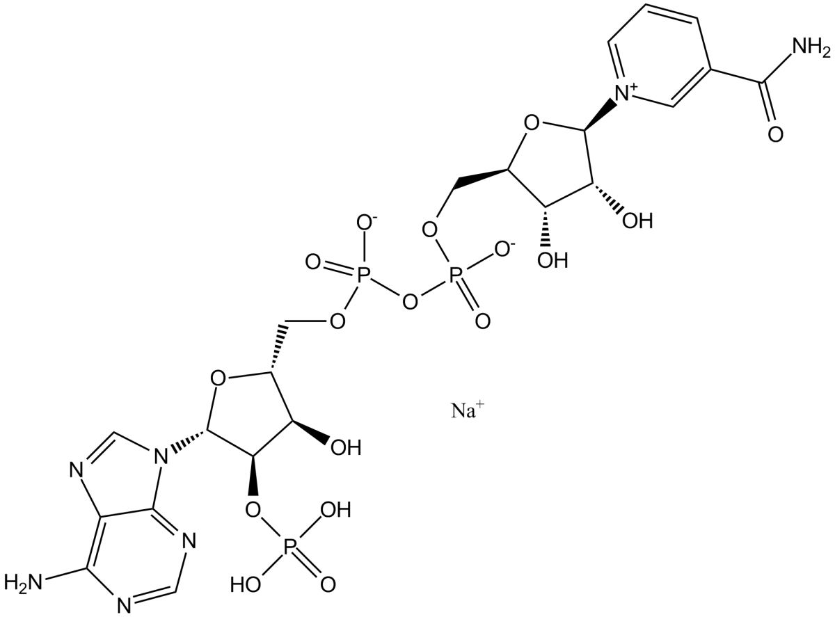 NADP sodium salt图片
