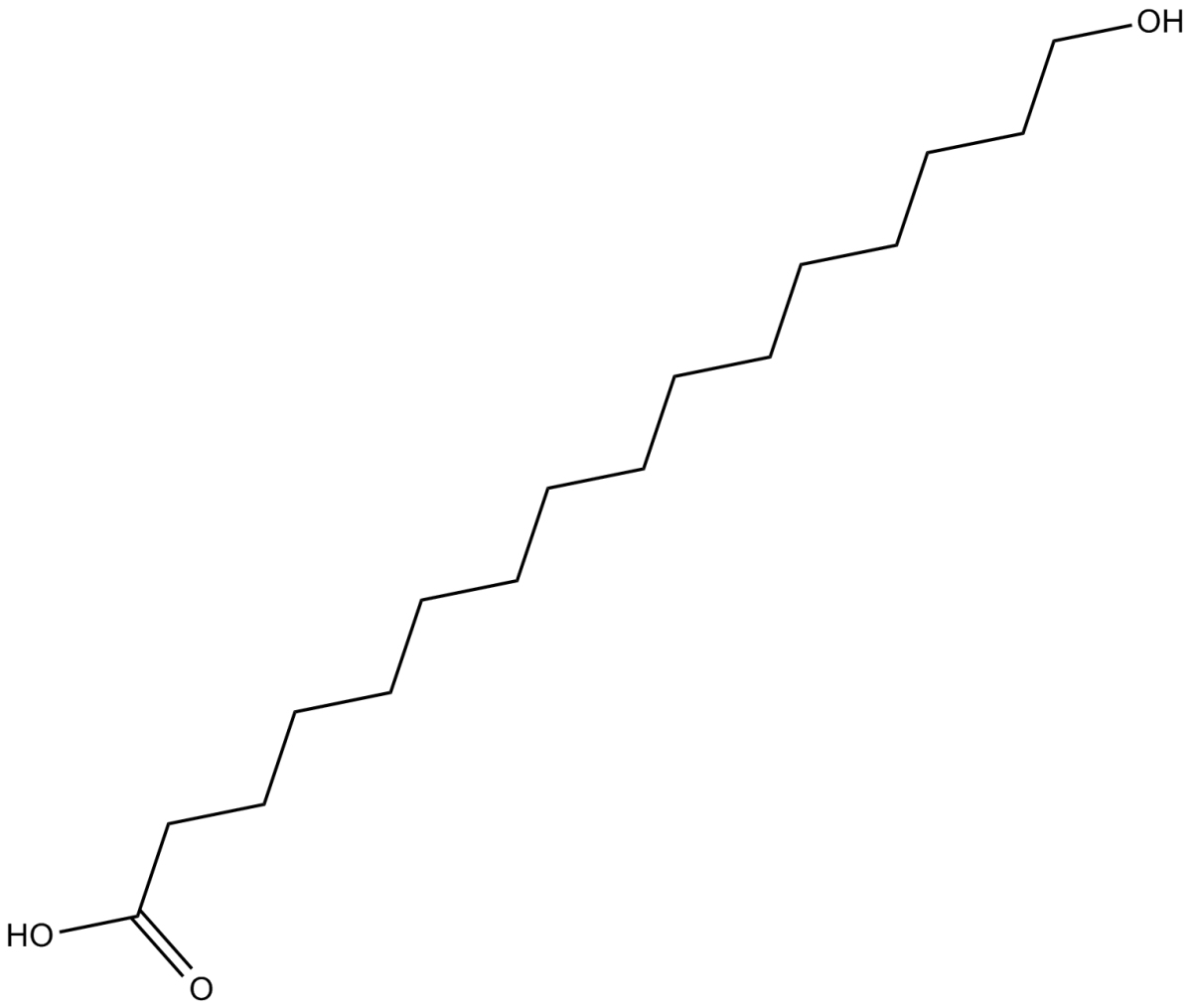 16-hydroxy Hexadecanoic Acid图片