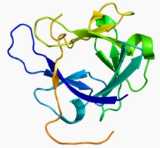 FGF-19,human recombinant protein图片