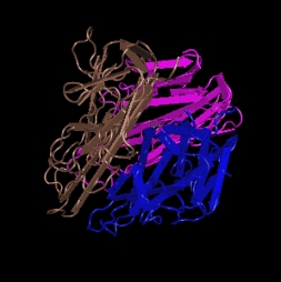 TNF-alpha,recombinant murine protein图片
