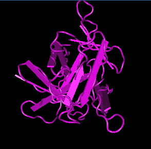 IL-1 beta,rat recombinant图片