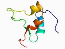 IGF-II,human recombinant图片