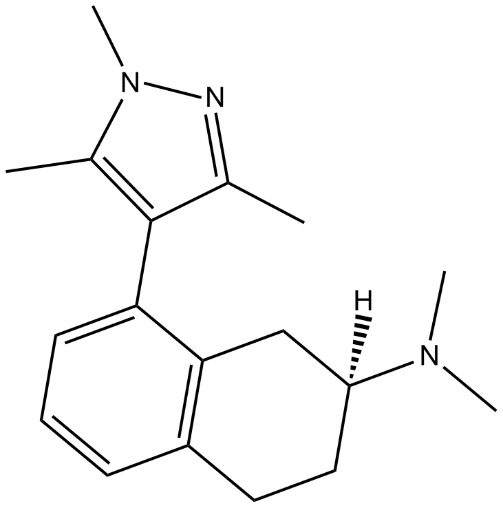 AS 19图片