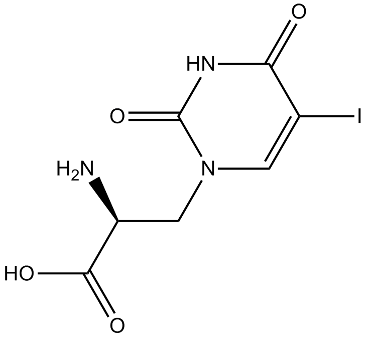 (S)-(-)-5-Iodowillardiine图片
