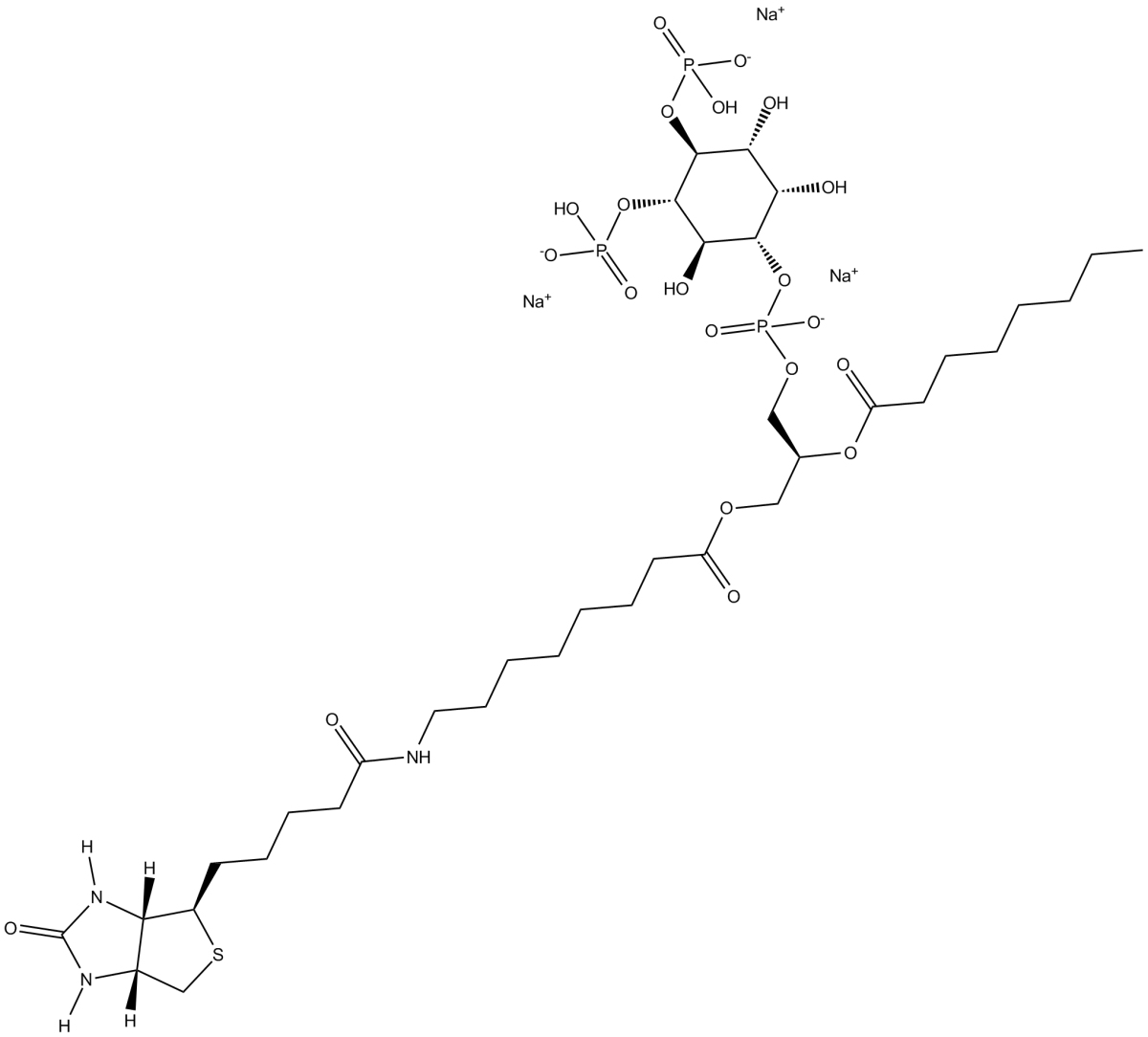 PtdIns-(4,5)-P2-biotin(sodium salt)图片