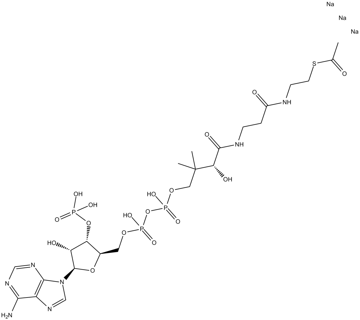 Acetyl Coenzyme A(sodium salt)图片