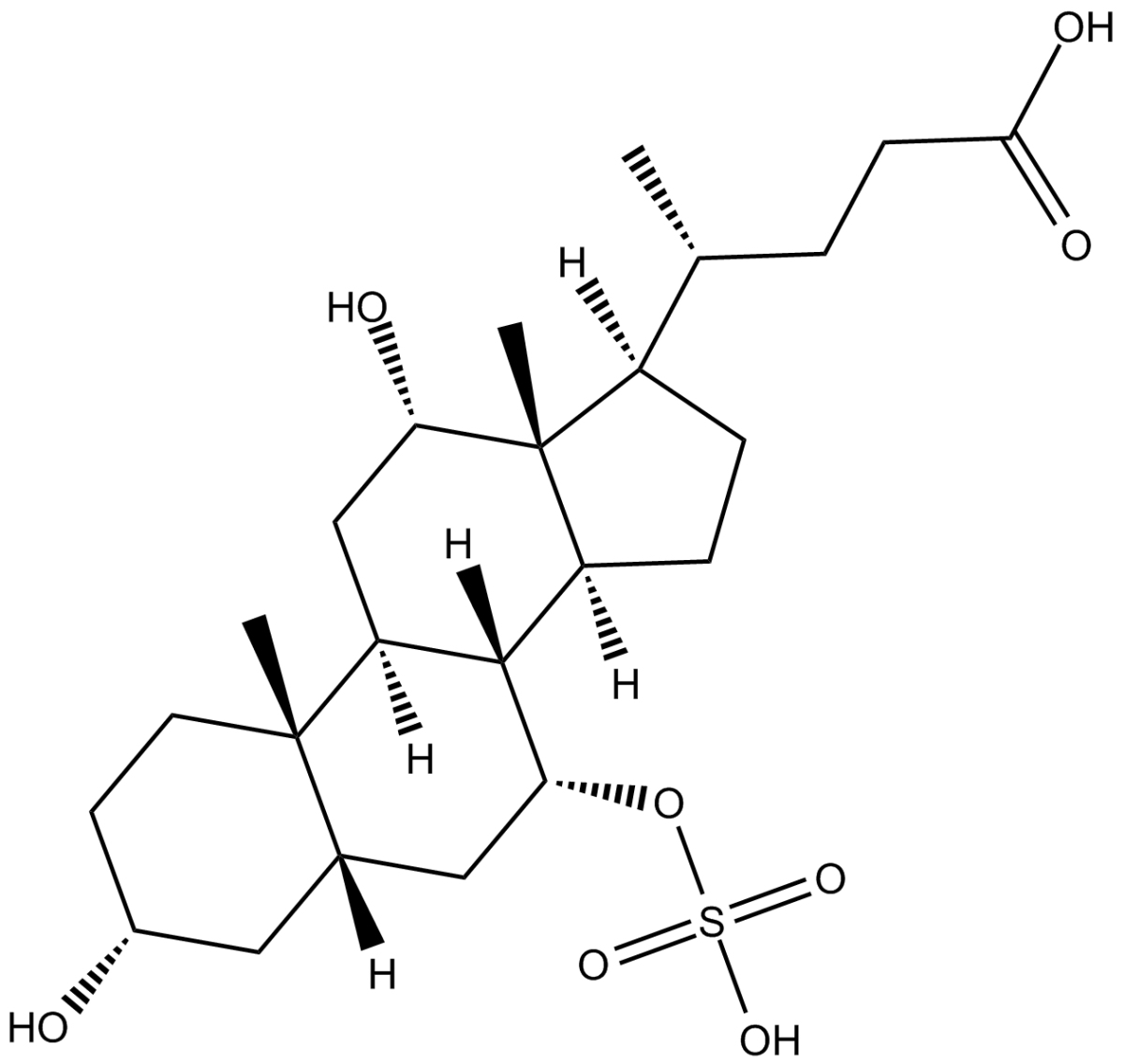 Cholic Acid 7-sulfate图片