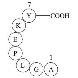 amyloid A protein fragment [Homo sapiens]图片