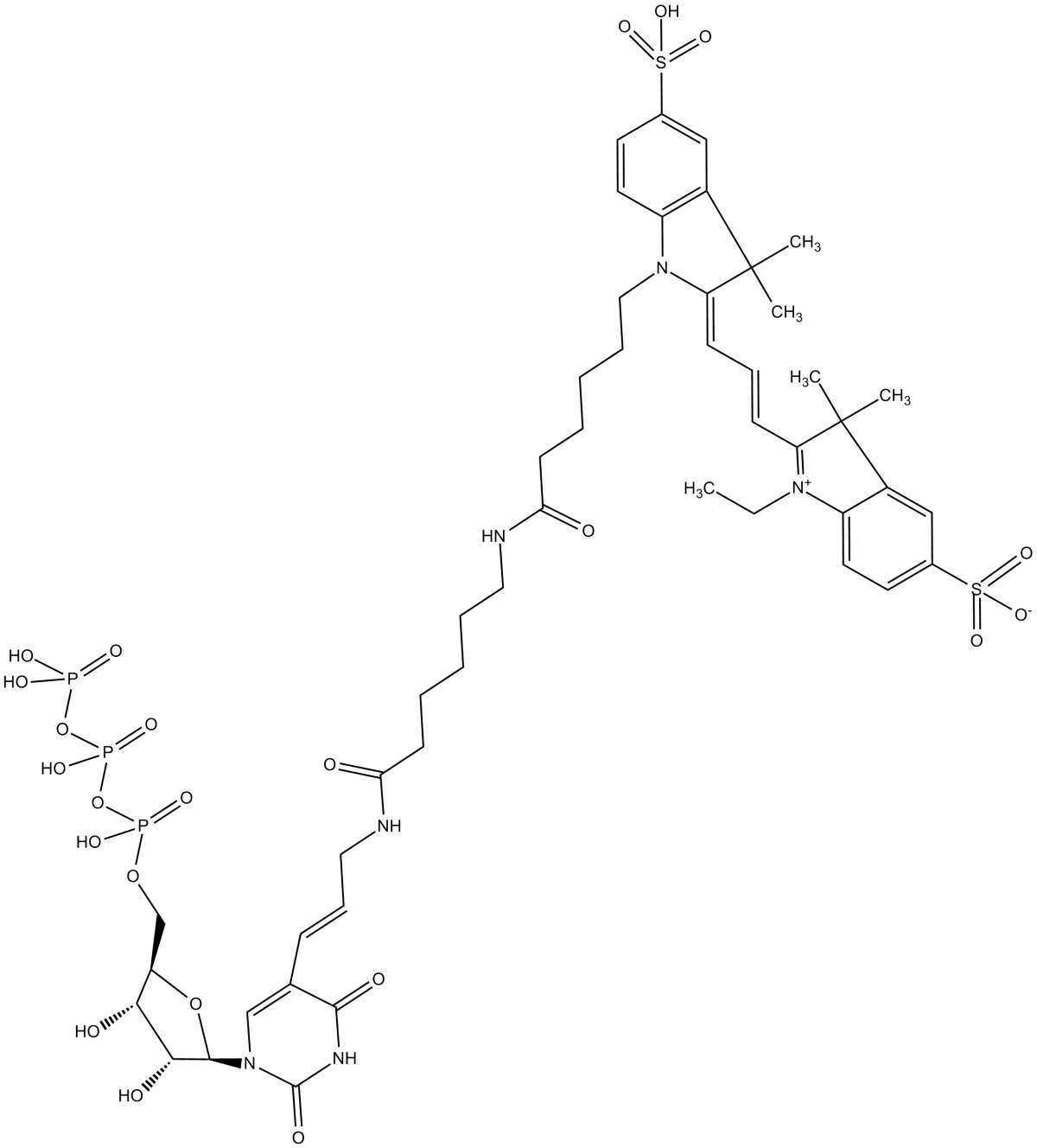 Aminoallyl-UTP-X-Cy3图片