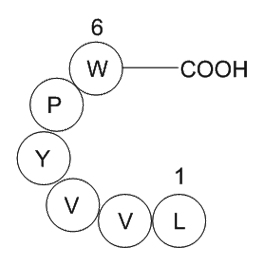 Myelopeptide-2(MP-2)图片