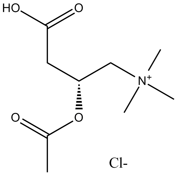 L-Acetylcarnitine(hydrochloride)图片