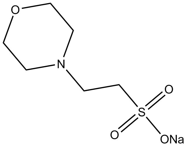 MES sodium salt图片