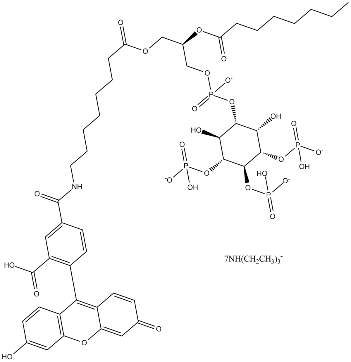Clopidogrel Carboxylic Acid(hydrochloride)图片